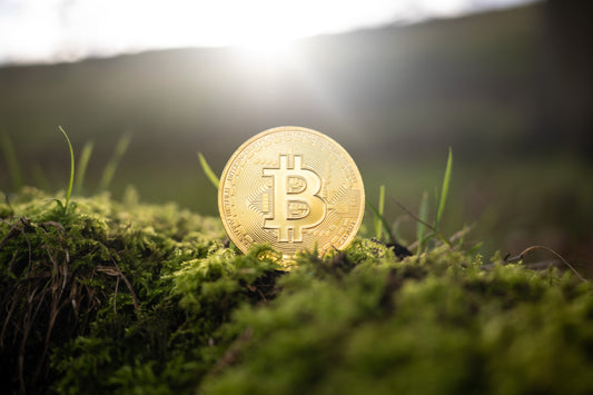Energie und Bitcoin Mining effizient verknüpft: LE Solutions