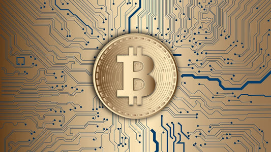 Bitcoin and Crypto Funfacts: Discover the Fascinating World of Digital Currencies with CRYPWEAR